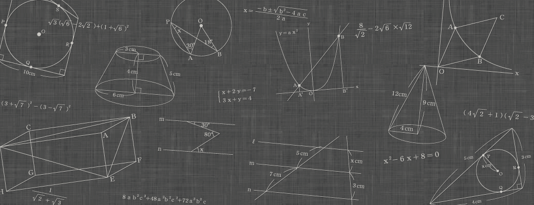 ヴィストの数学